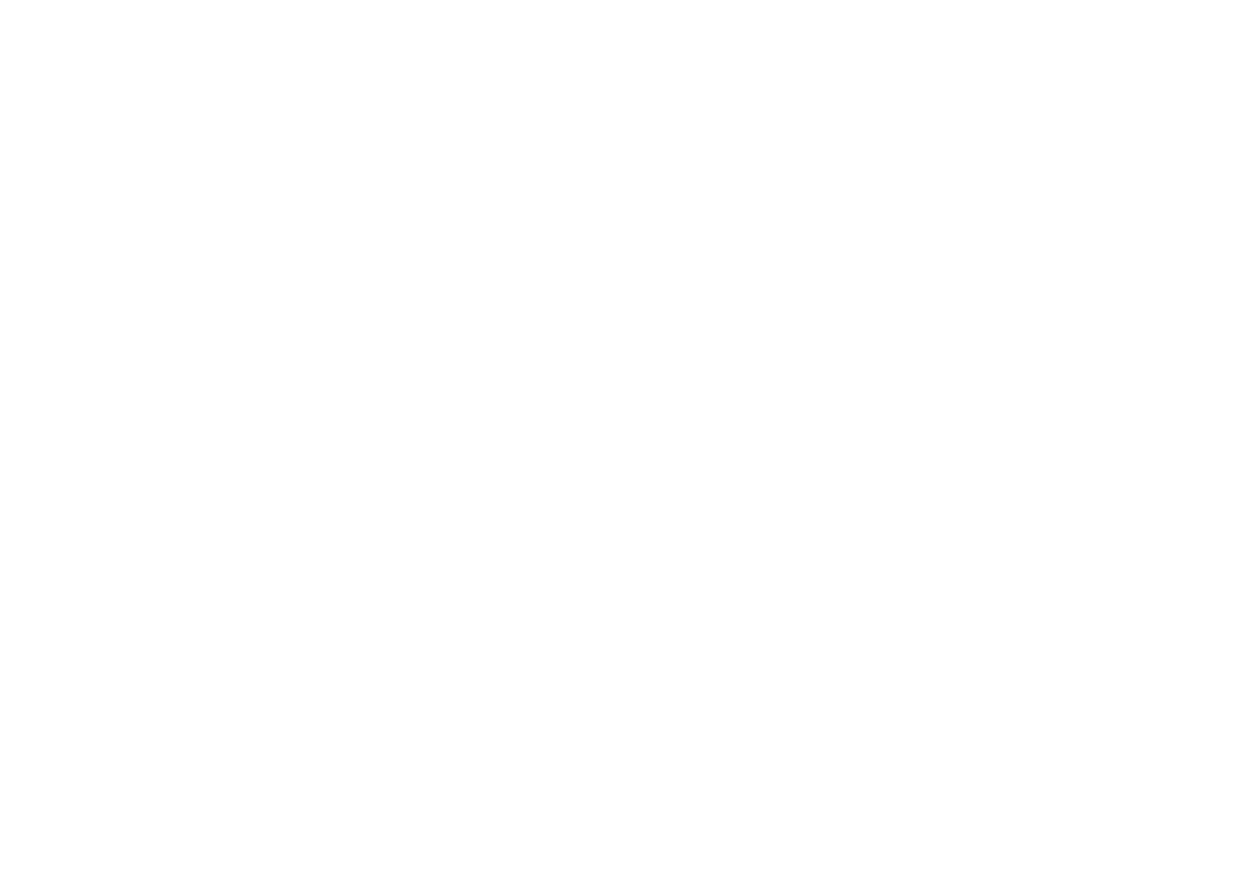 Benda Custom Picks